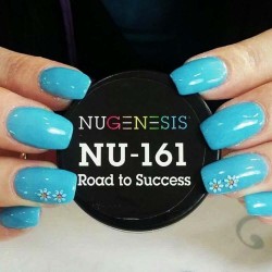 NU-161 Road to Success